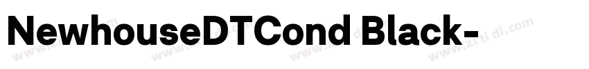 NewhouseDTCond Black字体转换